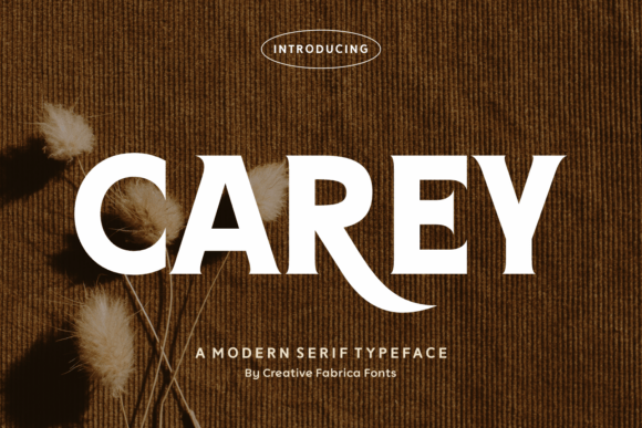 Carey: A Bold Serif for Impactful Branding