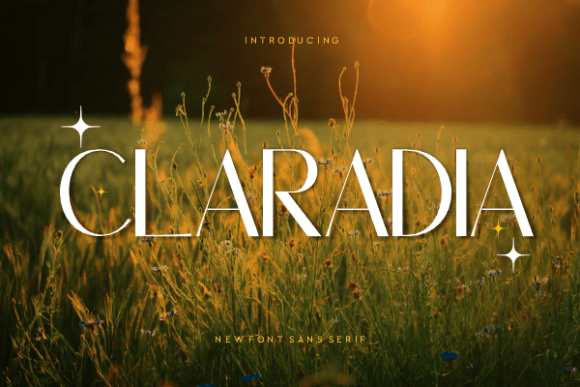 Claradia: A Modern Sans Serif for Real Projects