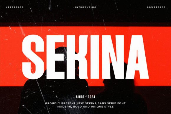 Sekina: A Modern Sans Serif Font